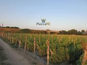 Terreno in vendita di 20700 m² in Via spiniello, 100