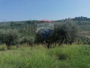 Terreno in vendita di 2094 m² in Via Ludovico Ariosto