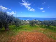 Terreno in vendita di 2120 m² in Via Ginestra