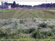 Terreno in vendita di 2120 m² in Via Francesco...