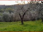 Terreno in vendita di 2150 m² in Via Aielle Pastolica
