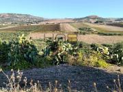 Terreno in vendita di 22000 m²