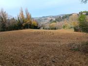 Terreno in vendita di 22000 m² in Strada Valgelata