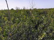 Terreno in vendita di 2200 m² in Strada 25