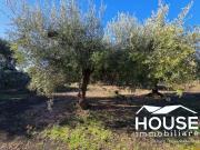 Terreno in vendita di 2200 m² in Strada Iazzo Vecchio, 1