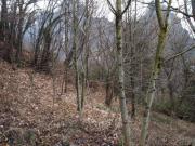 Terreno in vendita di 2206 m² in Via Colle, 22