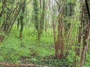 Terreno in vendita di 2210 m² in Via Nazionale, 1