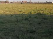 Terreno in vendita di 22381 m² in Via Brazze