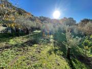 Terreno in vendita di 2270 m² in Contrada Muretto