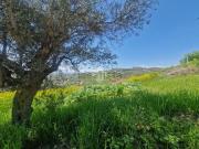 Terreno in vendita di 2275 m² in Via A. Gramsci, 9