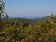 Terreno in vendita di 22770 m² in Via Sgarallino