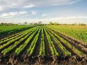 Terreno in vendita di 23000 m²