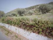 Terreno in vendita di 2300 m² in Contrada Serramola, 3