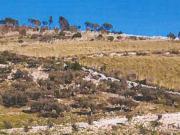 Terreno in vendita di 23350 m² in Contrada Balata Inici