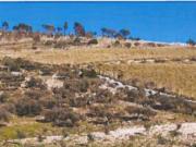 Terreno in vendita di 23350 m² in Strada Senza Nome