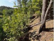 Terreno in vendita di 23459 m² in Località Calcina