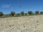 Terreno in vendita di 23480 m² in Contrada Vallerio