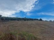 Terreno in vendita di 23510 m² in Contrada Ranco