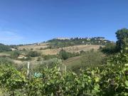 Terreno in vendita di 23540 m²