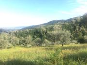 Terreno in vendita di 2365 m²