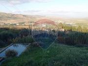 Terreno in vendita di 23730 m² in Strada Statale 385