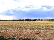 Terreno in vendita di 239 m²