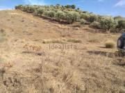 Terreno in vendita di 240000 m² in Contrada ficodindia sp50