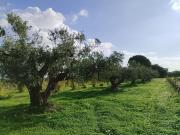 Terreno in vendita di 24000 m² in Viale Maranzano