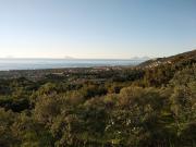 Terreno in vendita di 2400 m² in Contrada Amola 1