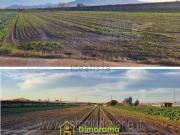 Terreno in vendita di 2400 m² in Contrada Candelara