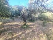 Terreno in vendita di 2400 m² in Strada di Bracciale