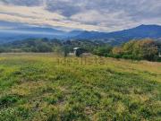 Terreno in vendita di 2450 m²