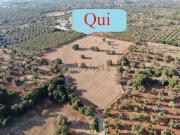 Terreno in vendita di 24690 m² in Contrada Maresca