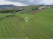 Terreno in vendita di 25000 m²