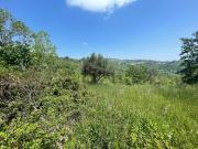 Terreno in vendita di 25000 m² in Strada senza nome