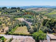 Terreno in vendita di 20650 m² in Via Montevecchio