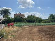 Terreno in vendita di 25000 m² in Via Piemonte