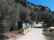 Terreno in vendita di 2500 m² in Via Esterna San Nicola
