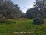 Terreno in vendita di 2510 m² in Via Ginestra, 7