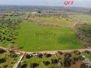 Terreno in vendita di 25318 m² in Contrada PUSPO
