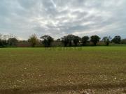 Terreno in vendita di 25500 m²