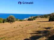 Terreno in vendita di 25818 m² in Contrada Secolare