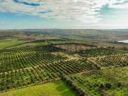 Terreno in vendita di 260000 m² in Strada Galerno, 500