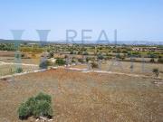 Terreno in vendita di 26000 m² in Via Tommaso Fazello, 228