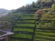 Terreno in vendita di 2600 m²