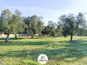 Terreno in vendita di 2600 m² in Strada Esterna Viale...