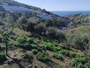 Terreno in vendita di 2600 m² in Strada Provinciale 55