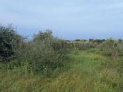 Terreno in vendita di 2660 m² in Contrada MEZZACAMPA