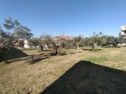 Terreno in vendita di 2684 m² in Strada Pandolfi