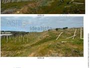 Terreno in vendita di 26890 m²